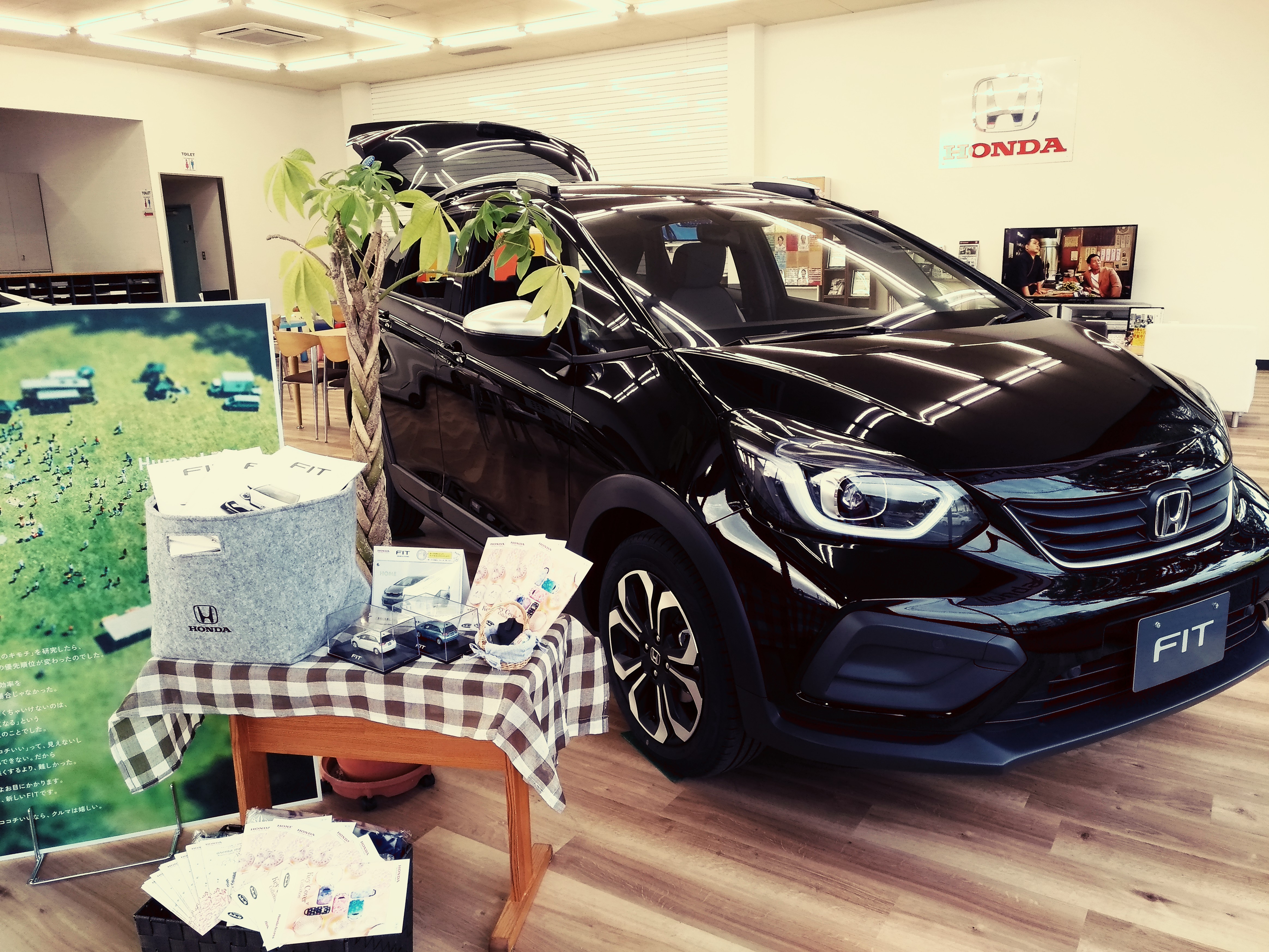 P_20200303_165306_vHDR_Auto_1