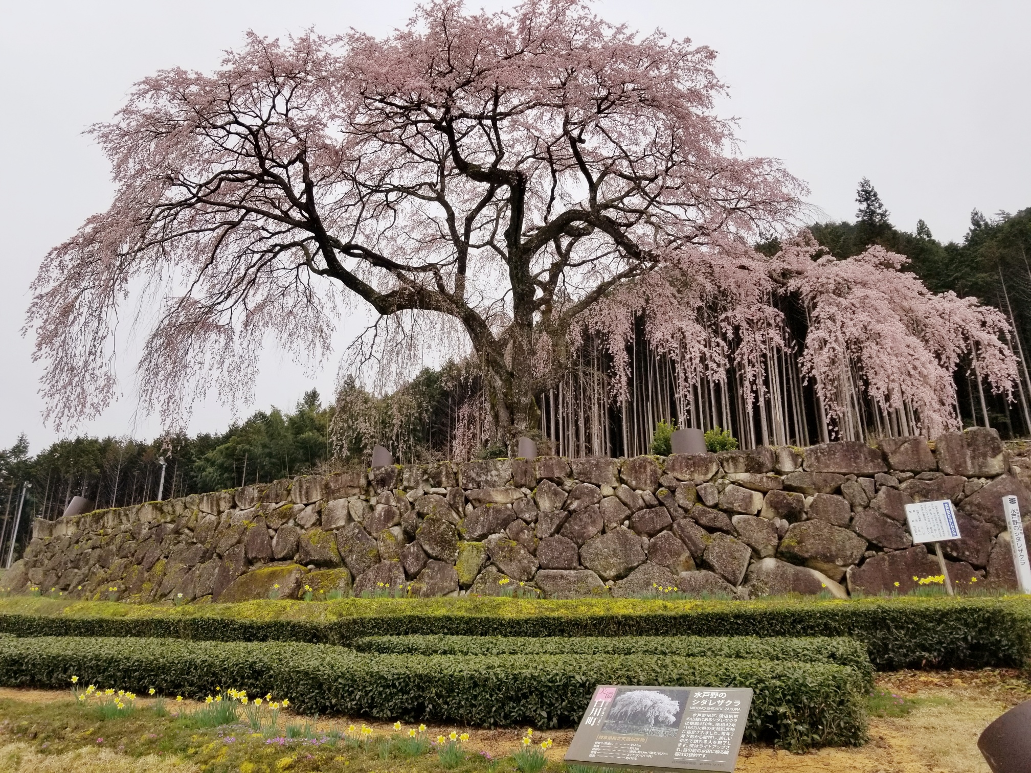 20200401_201649_resized