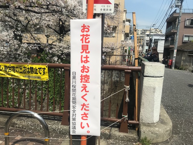 20200404megurogawa2IMG_6279