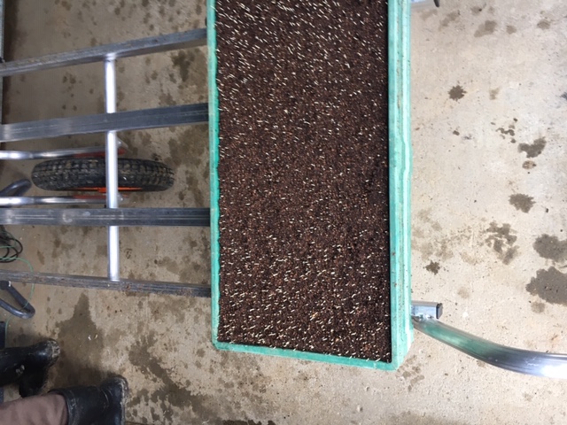 IMG_1206.JPG IMG_1207