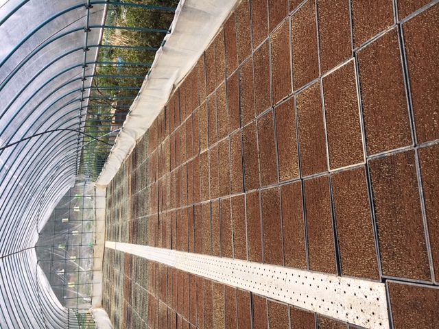 IMG_1206.JPG IMG_1208