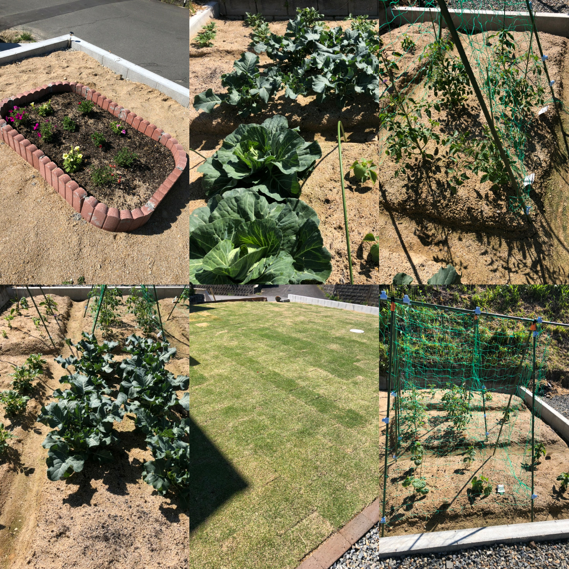 Polish_20200508_095835381_20200508100114