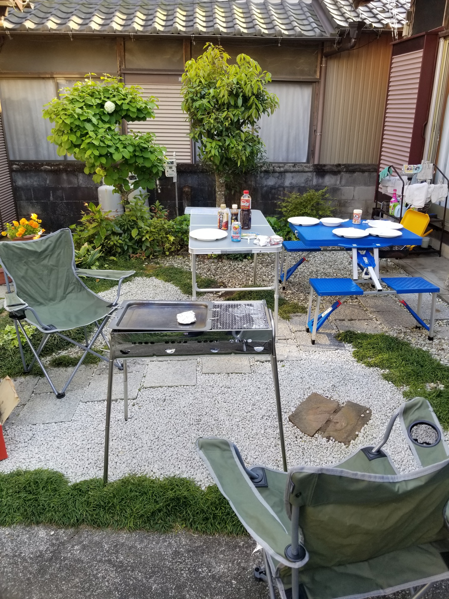 20200429_163423_resized