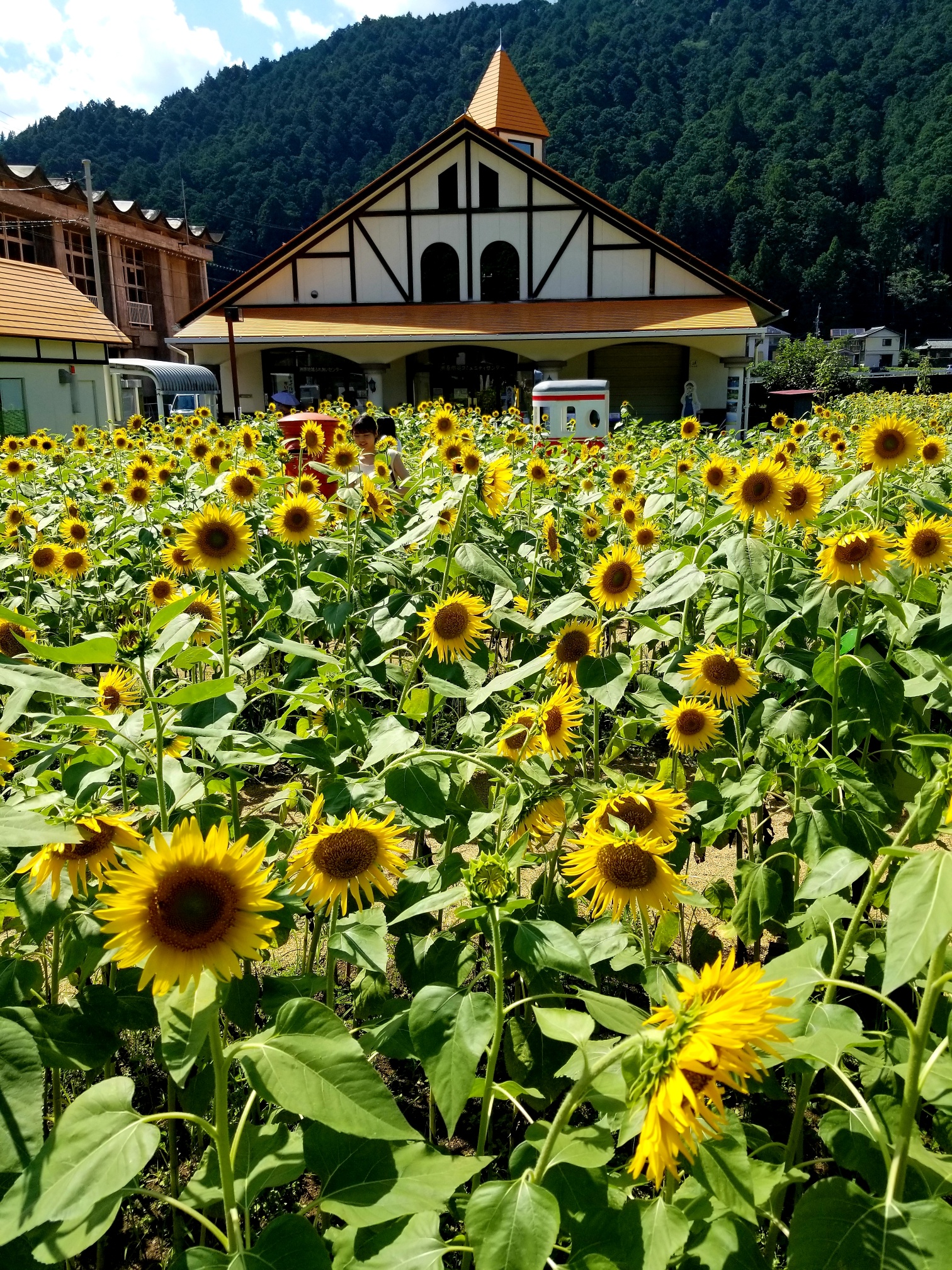 20200816_092702_resized