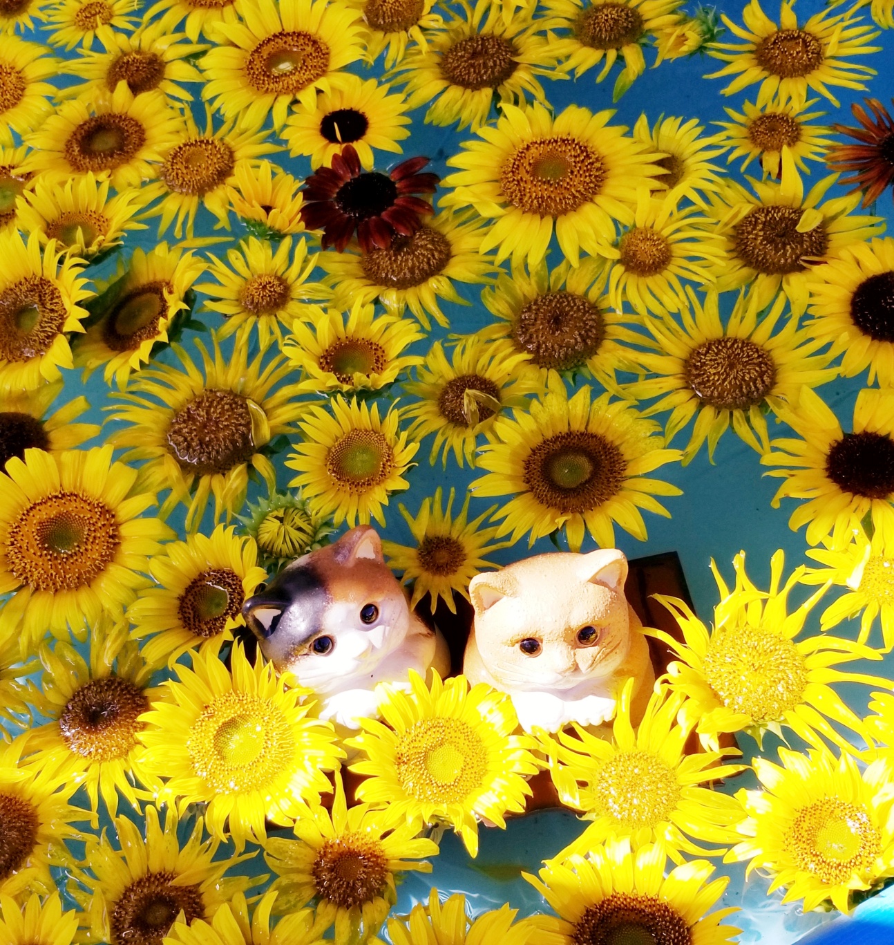 20200814_191630_resized