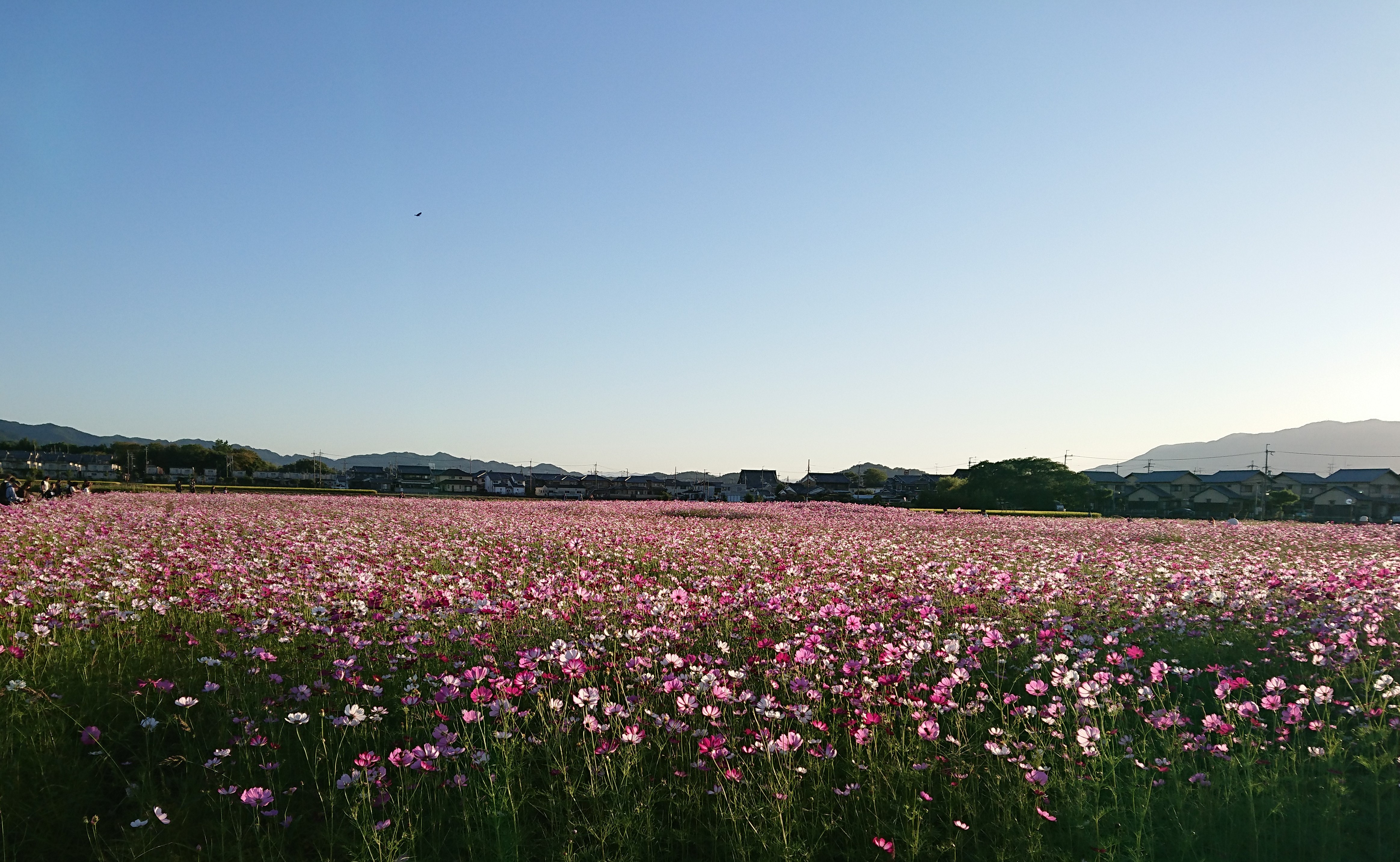 19-10-09-16-49-54-040_photo