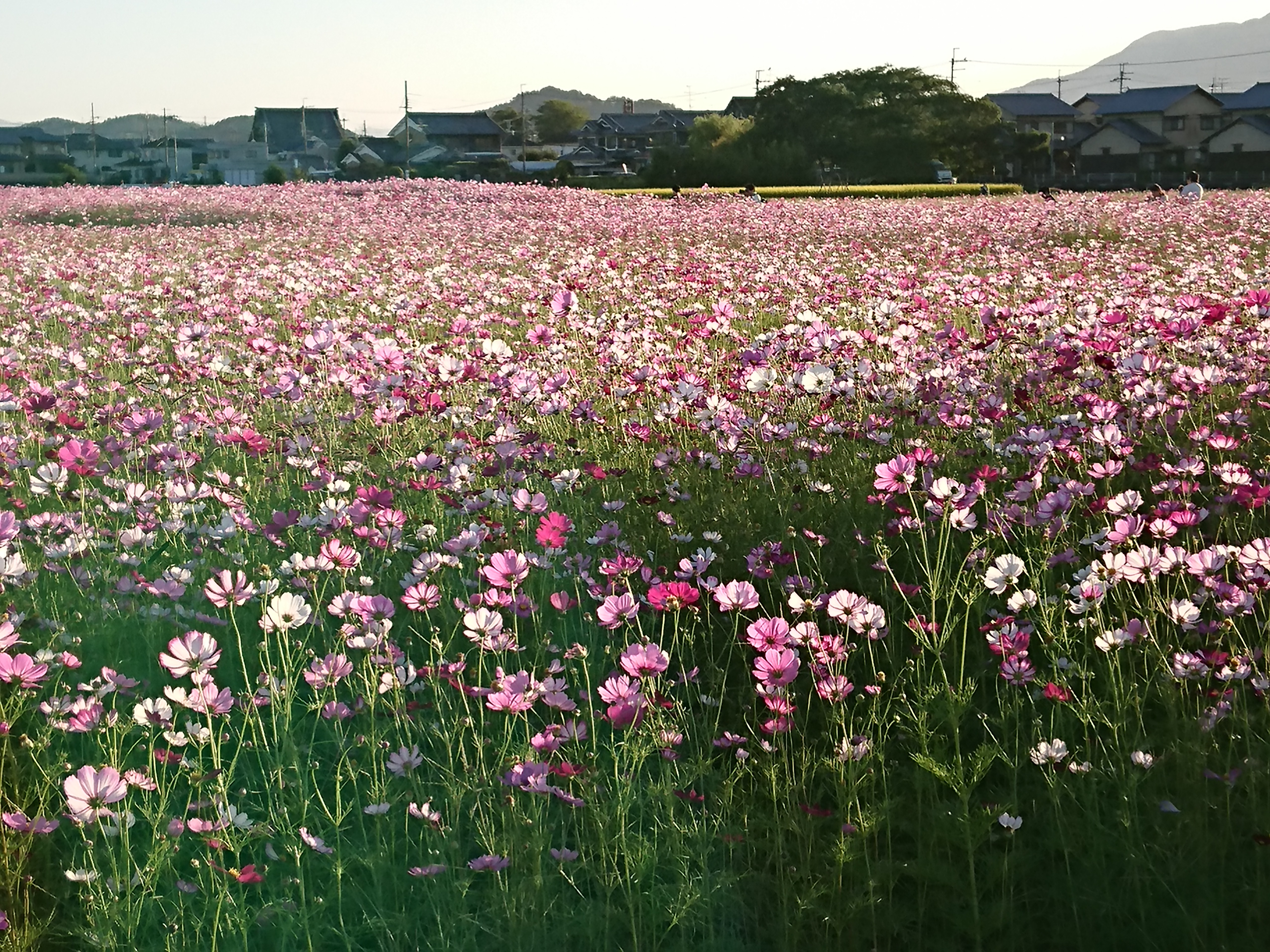 19-10-09-16-50-00-862_photo