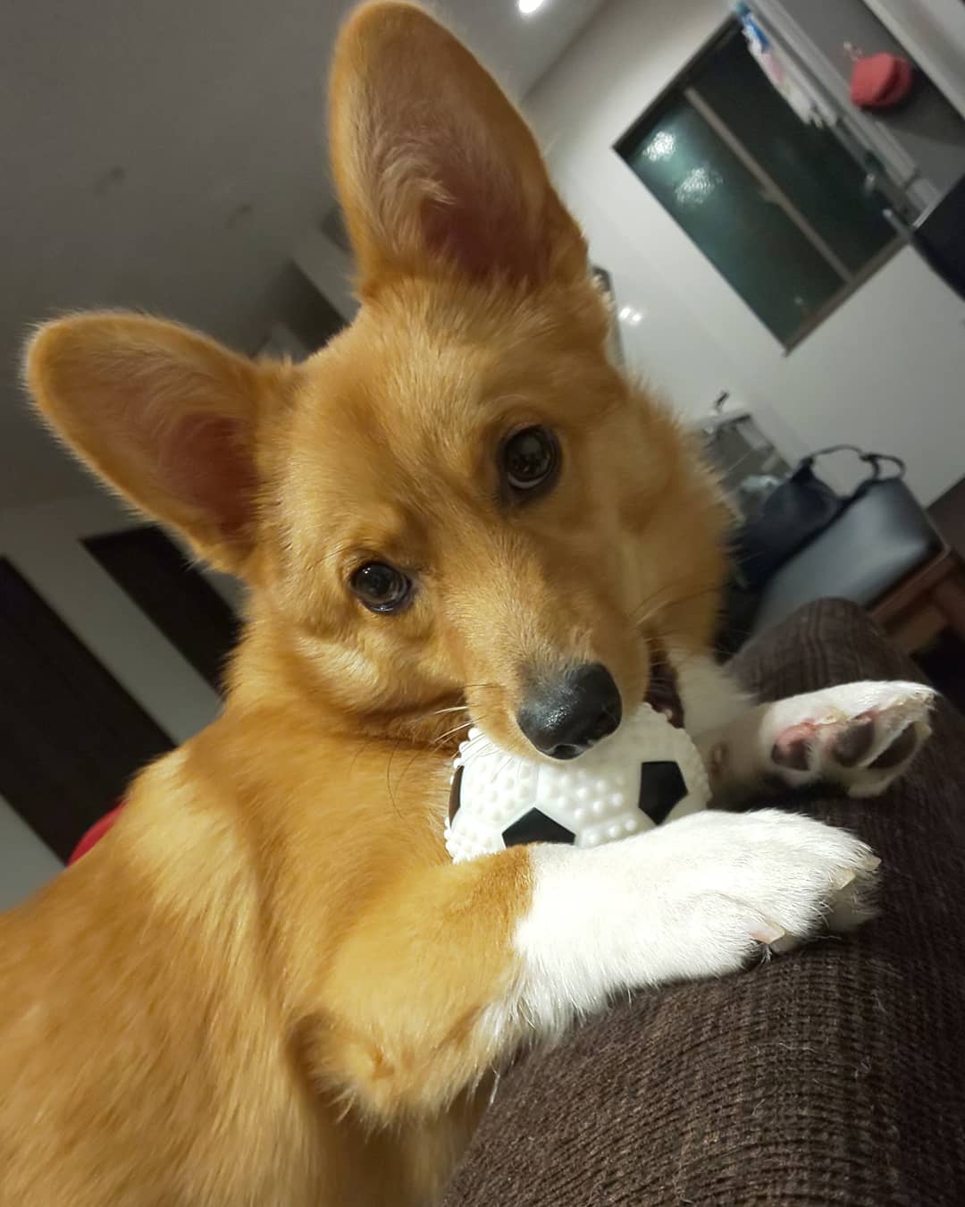 IMG_20201026_233139_864