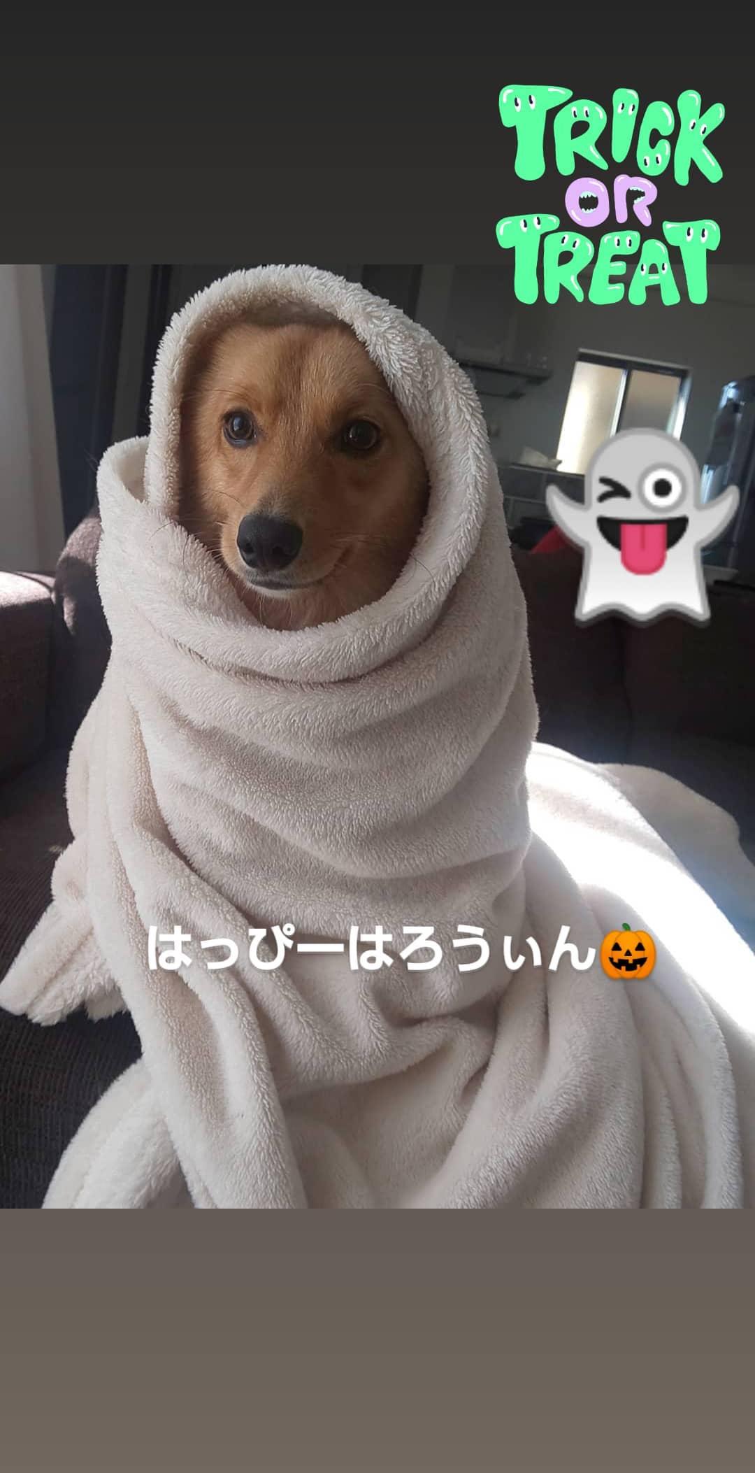 IMG_20201101_123854_694