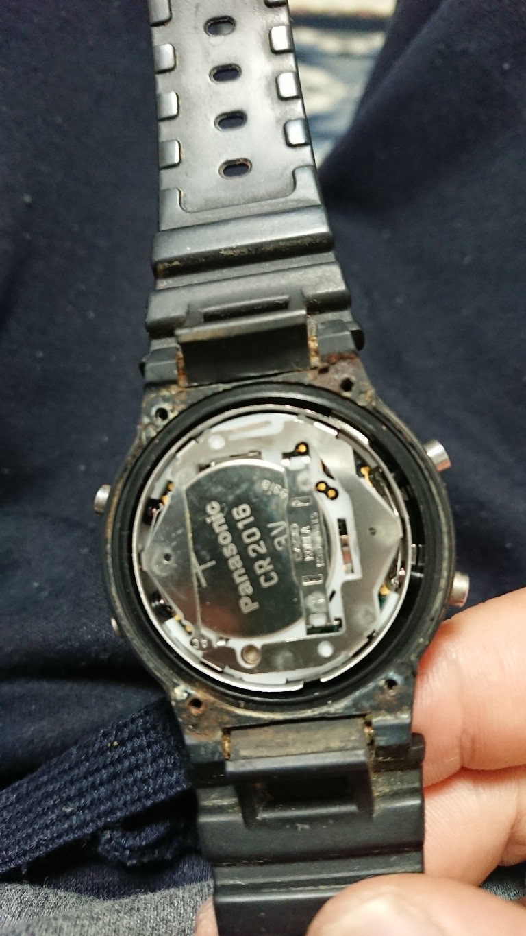 DSC_0006_copy_768x1365.jpg DSC_0006_copy_768x1365