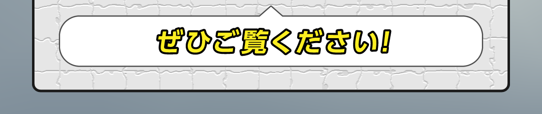 ぜひご覧ください!