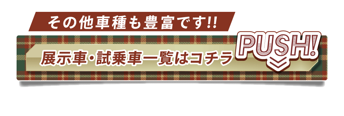 その他車種も豊富です!!展示車・試乗車はコチラ！